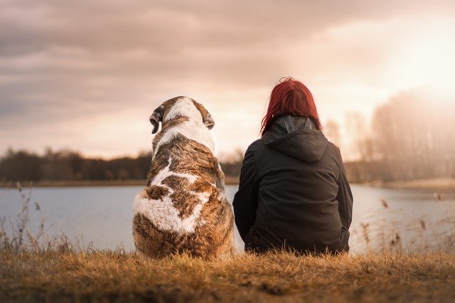 Al momento stai visualizzando Estate, viaggi, vacanze e coinquilini a 4 zampe: diritti dei nostri amici animali e doveri di chi ha la fortuna di vivere con loro